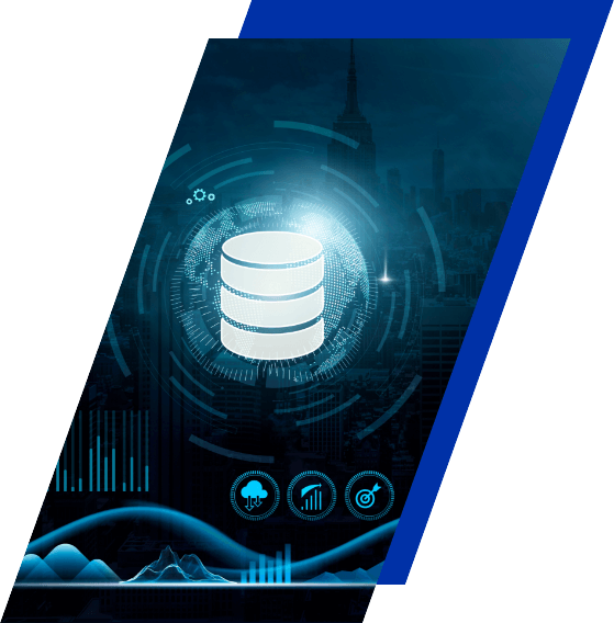 Database Management Nedir?